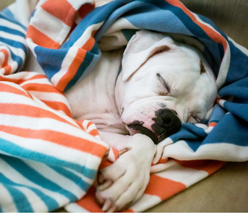 Orange, Teal & White Striped Organic Cotton Throw Blanket- Supports USA Domestic Violence Victims