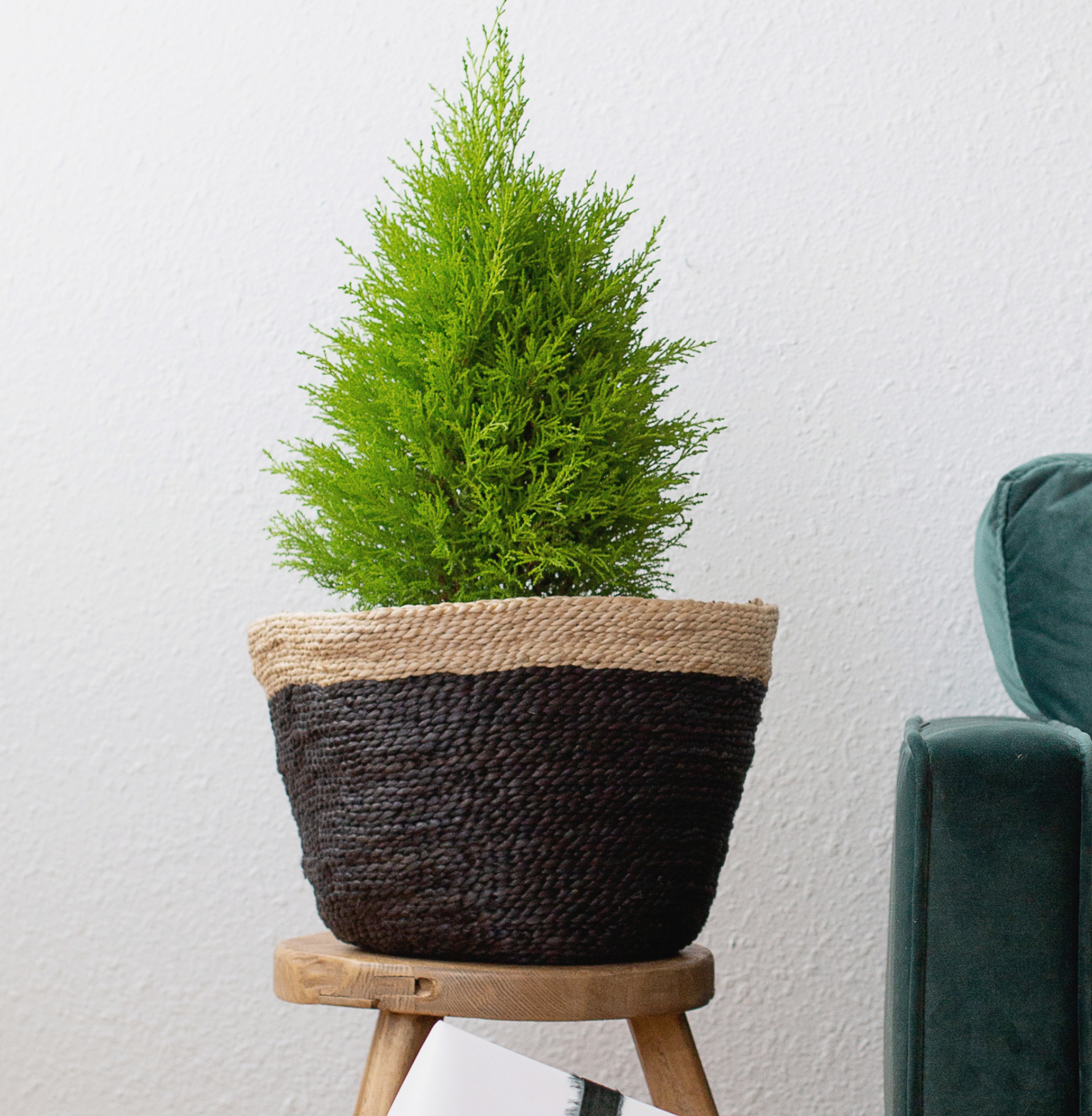 Handwoven Jute Basket, Black & Natural, Bangladesh, Fair Trade
