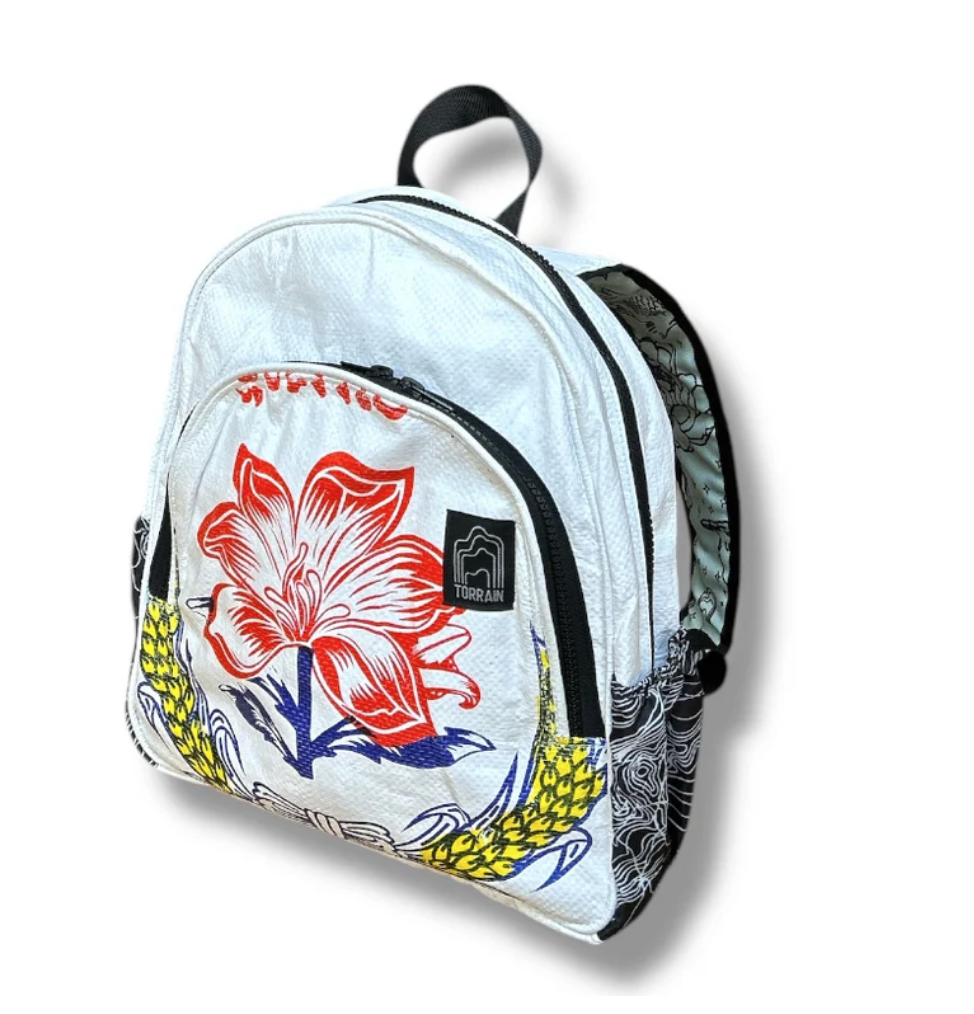 Small Upcycled Day or Childs Backpack- Saves Landfills!